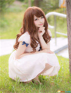 花2011