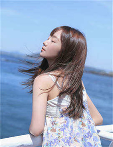 卧龙吟徐晃